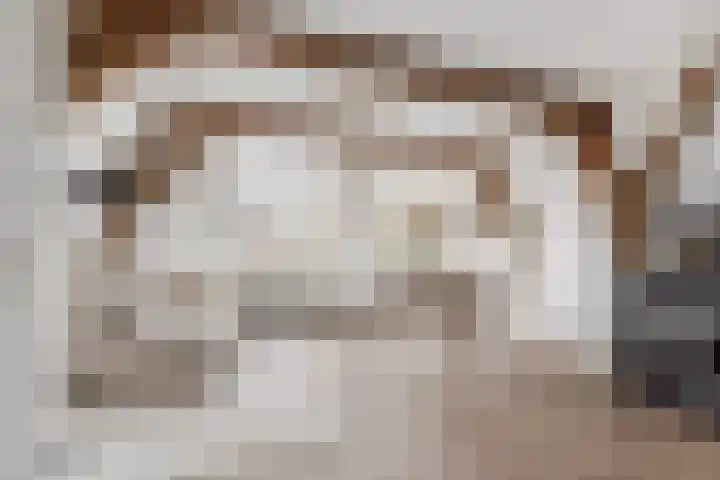 Botermarkt 3 B in Leiden