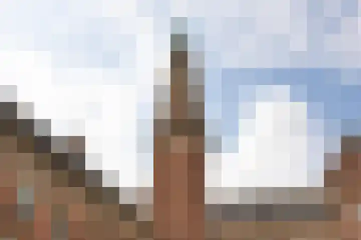 Botermarkt 3 B Leiden thumbnail 30