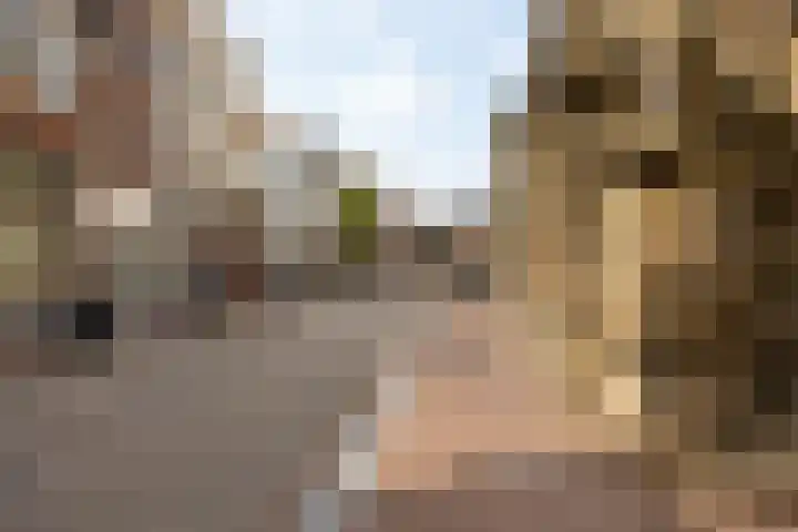 Botermarkt 3 B Leiden thumbnail 32