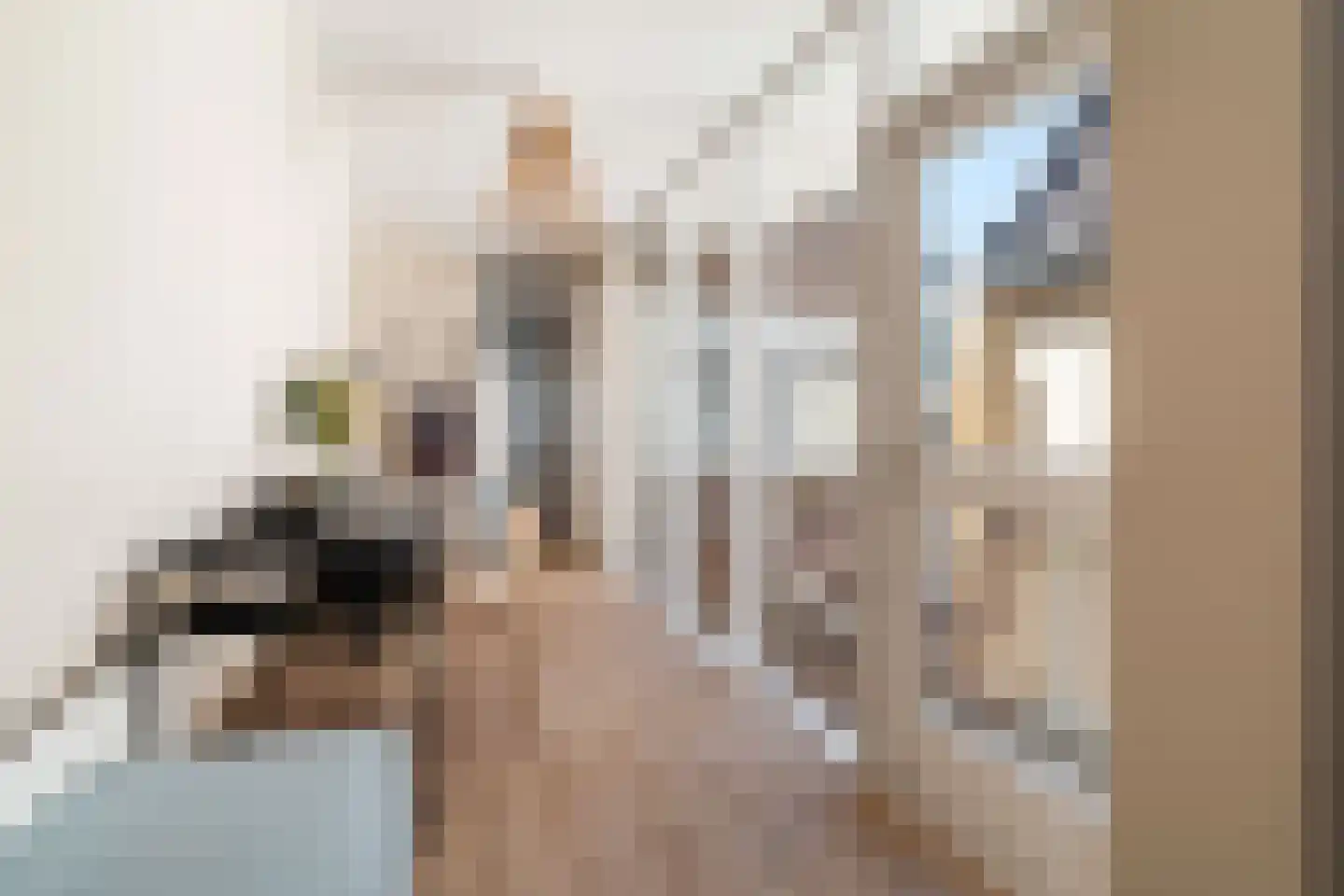 Botermarkt 4 B Leiden thumbnail 18