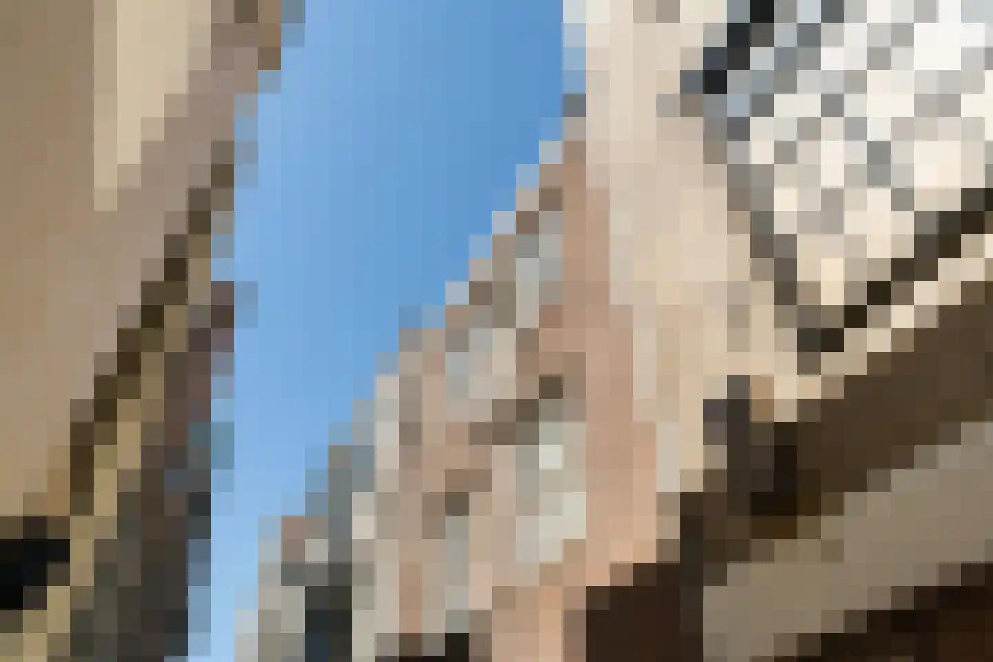 Botermarkt 4 B Leiden thumbnail 55
