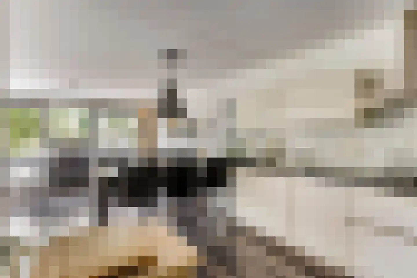 Botermarkt 95 Uden thumbnail 8