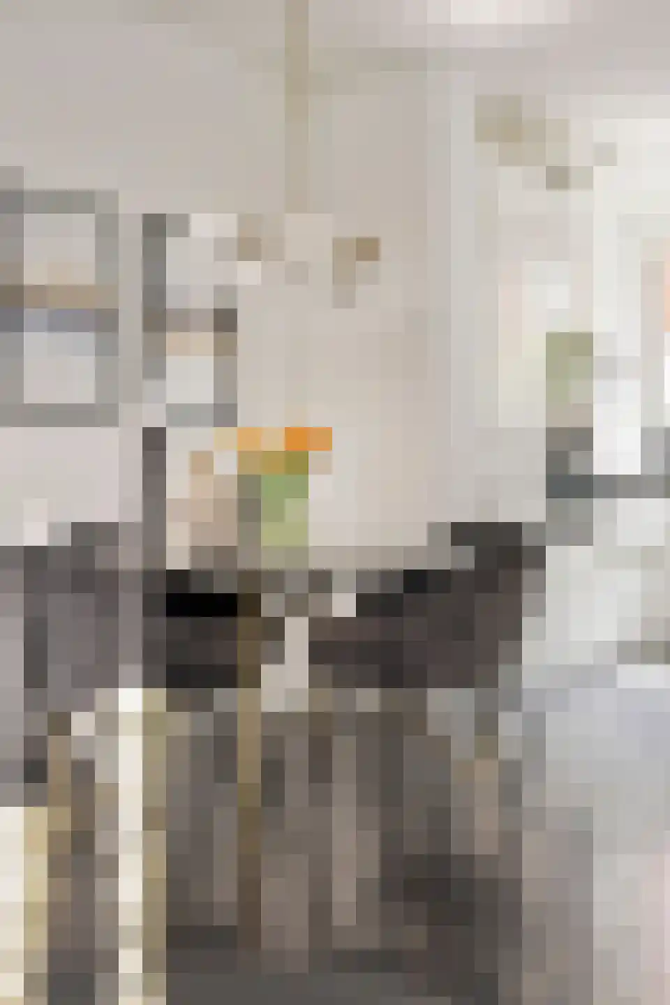 Botermolendrift 10 Groningen thumbnail 15