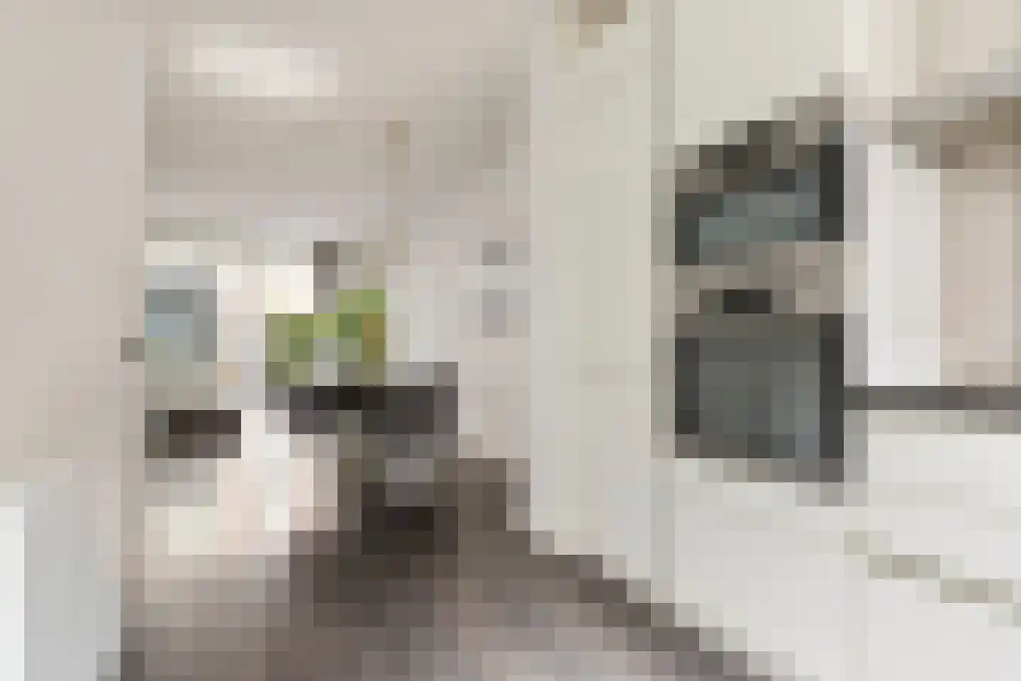 Botermolendrift 10 Groningen thumbnail 19