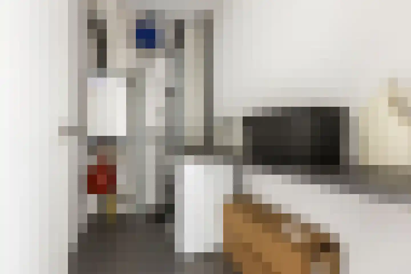 Botermolendrift 10 Groningen thumbnail 29