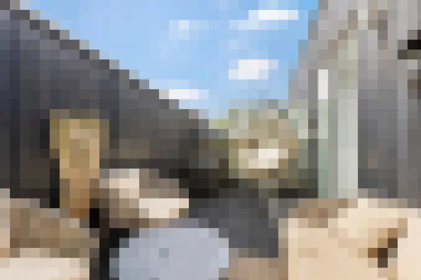 Botermolendrift 10 Groningen thumbnail 35