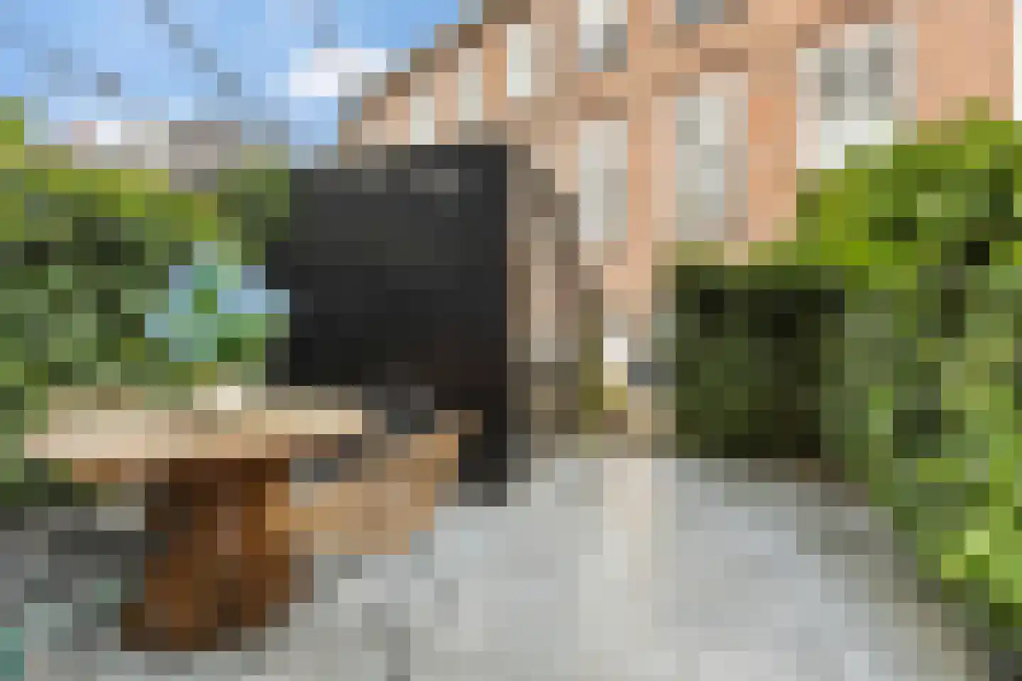 Botermolendrift 10 Groningen thumbnail 36