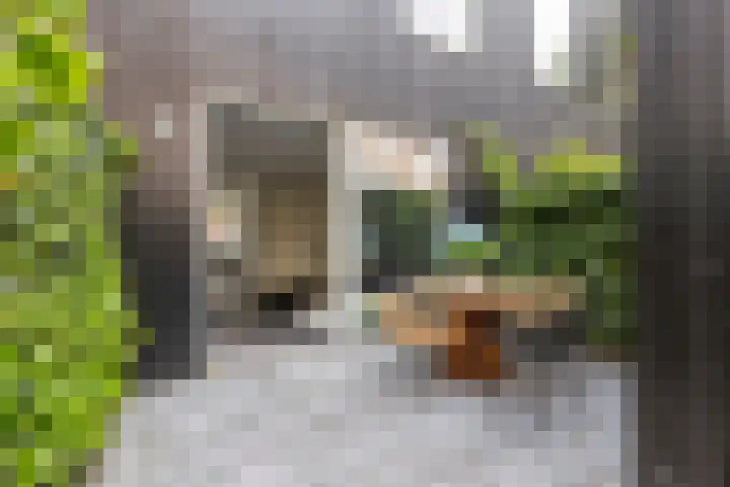 Botermolendrift 10 Groningen thumbnail 37