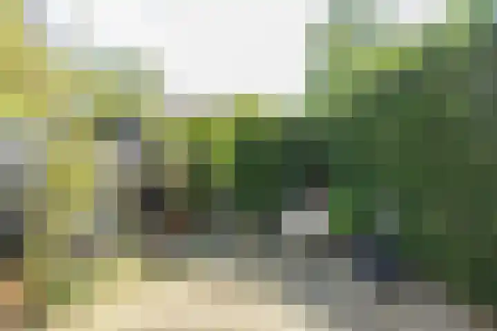Boterplein 22 Haarlem thumbnail 25