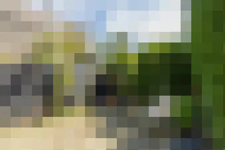 Boterplein 22 Haarlem thumbnail 26