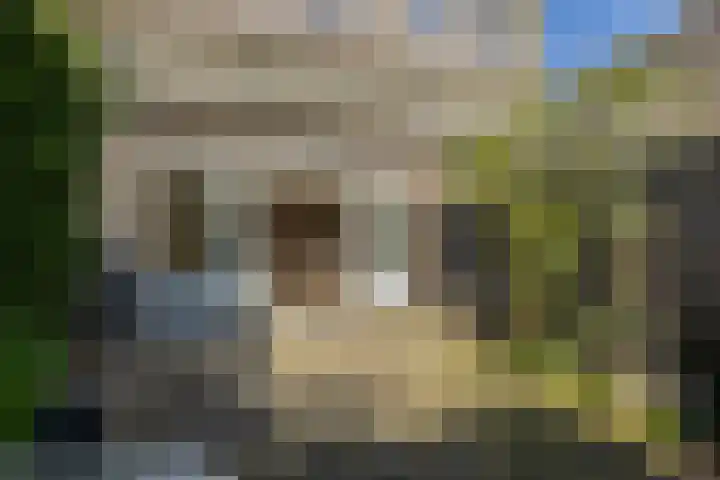 Boterplein 22 Haarlem thumbnail 27