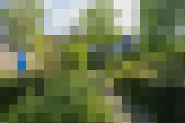 Boterplein 22 Haarlem thumbnail 31