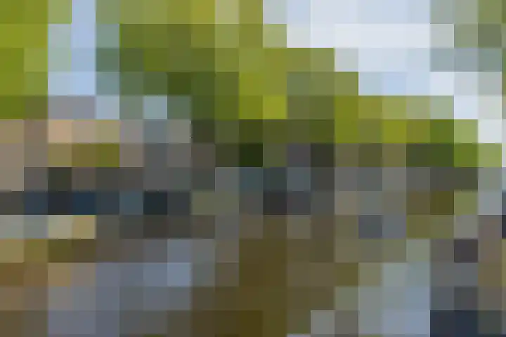 Boterplein 22 Haarlem thumbnail 34