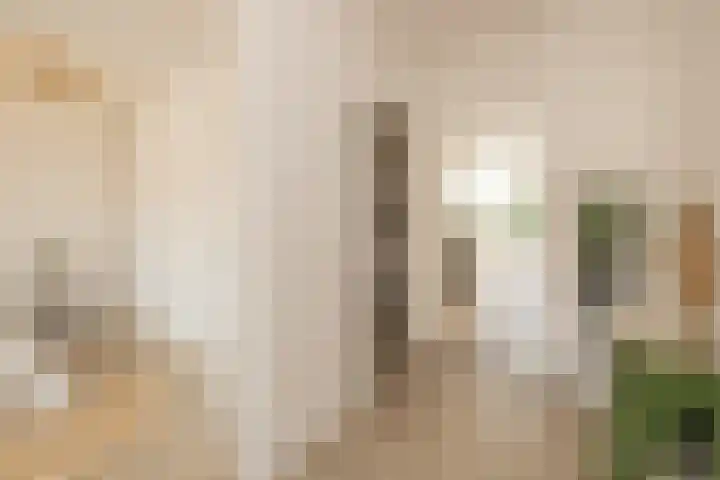 Boterplein 22 Haarlem thumbnail 5