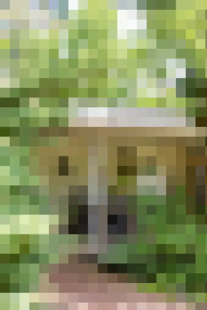 Boterpol 22 Wateren thumbnail 10