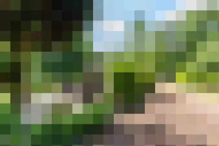 Boterpol 22 Wateren thumbnail 11