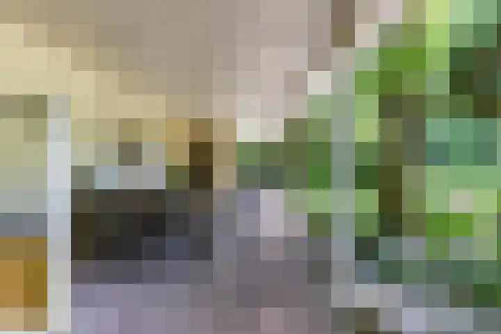 Boterpol 22 Wateren thumbnail 12