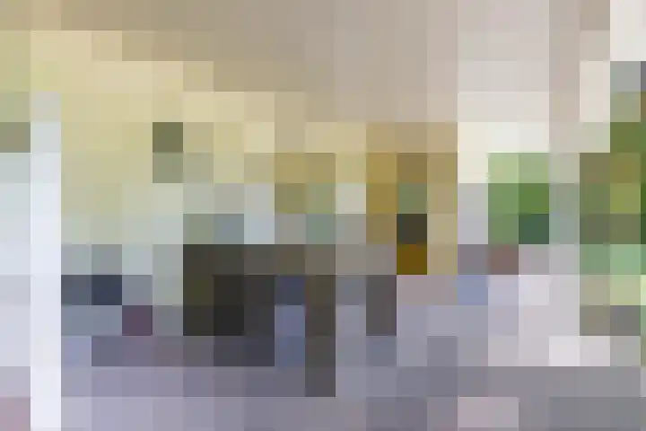 Boterpol 22 Wateren thumbnail 13
