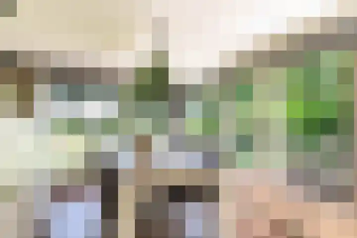 Boterpol 22 Wateren thumbnail 22