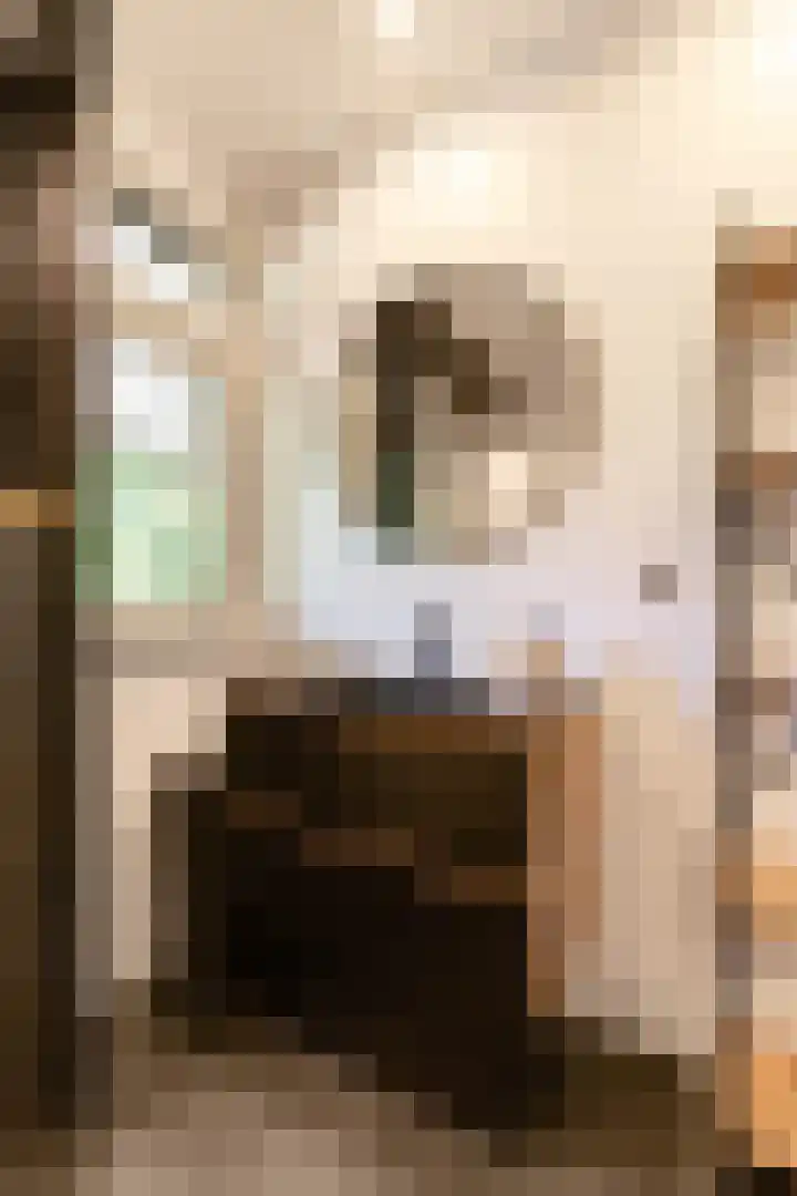 Boterpol 22 Wateren thumbnail 25