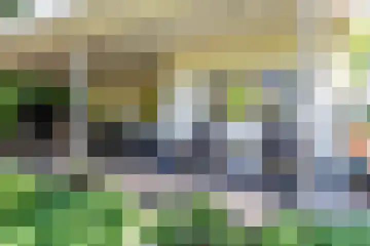 Boterpol 22 Wateren thumbnail 29