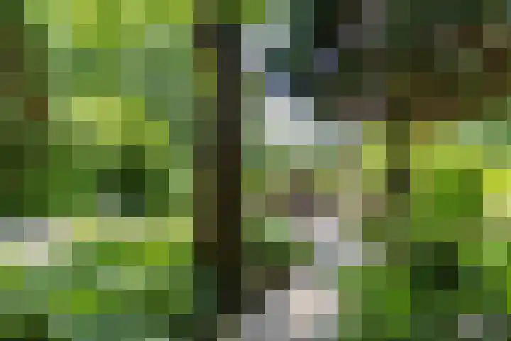 Boterpol 22 Wateren thumbnail 30