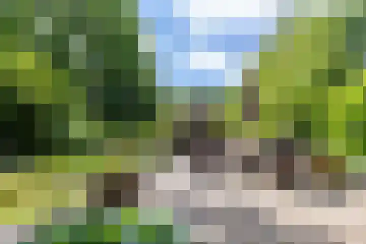Boterpol 22 Wateren thumbnail 31