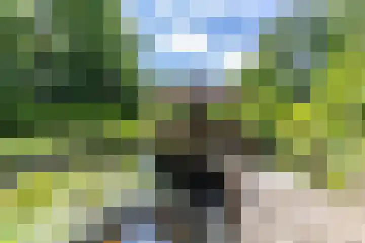Boterpol 22 Wateren thumbnail 32