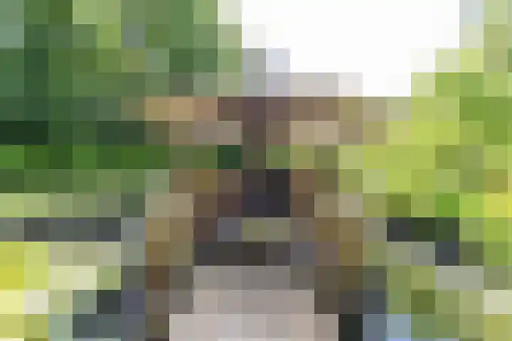 Boterpol 22 Wateren thumbnail 33