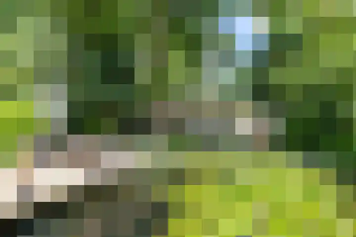 Boterpol 22 Wateren thumbnail 34