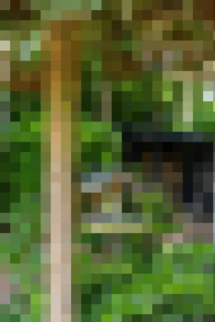 Boterpol 22 Wateren thumbnail 36