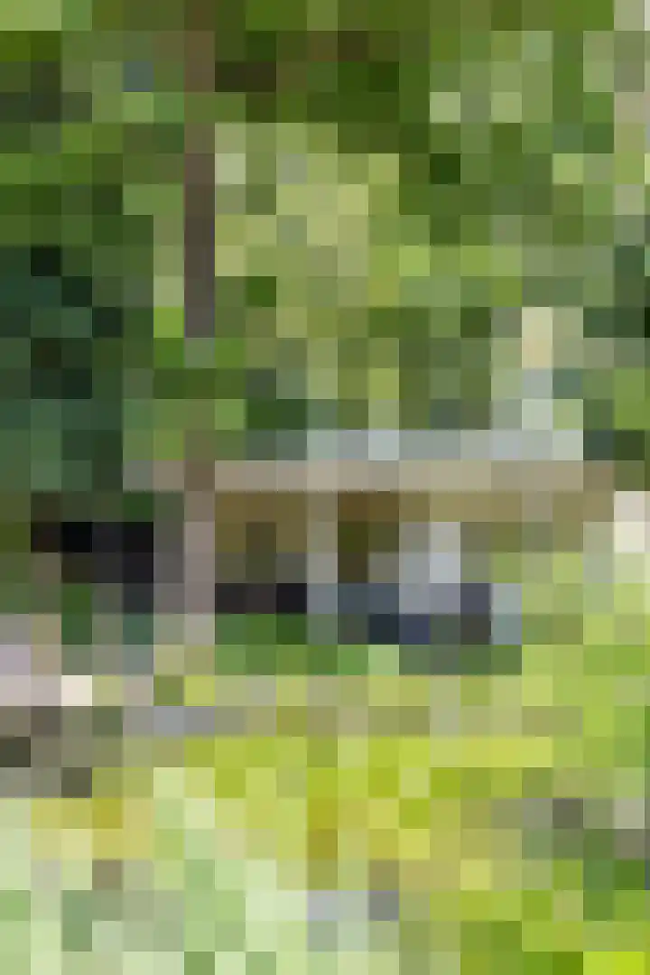 Boterpol 22 Wateren thumbnail 37