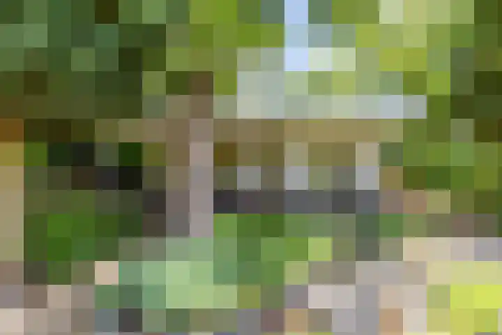 Boterpol 22 Wateren thumbnail 38