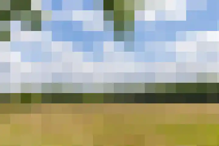 Boterpol 22 Wateren thumbnail 4
