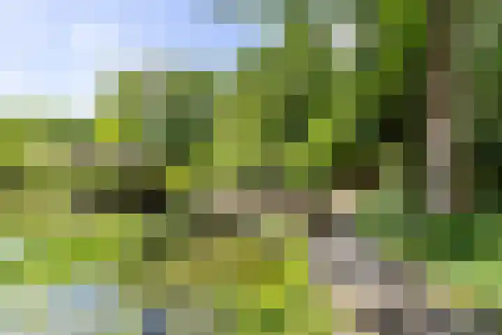 Boterpol 22 Wateren thumbnail 40