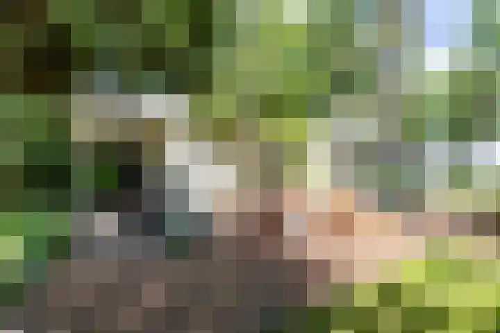 Boterpol 22 Wateren thumbnail 42