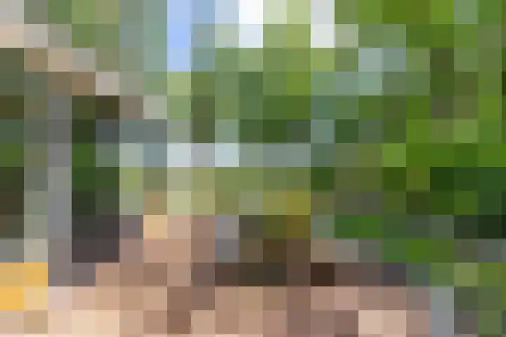 Boterpol 22 Wateren thumbnail 43
