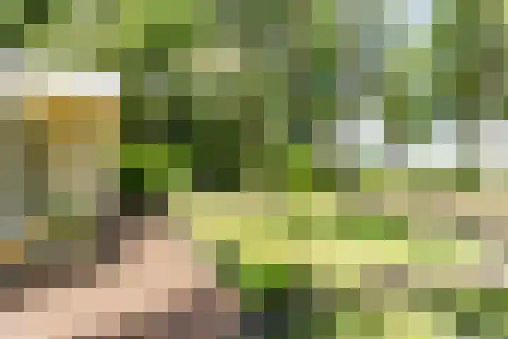 Boterpol 22 Wateren thumbnail 44
