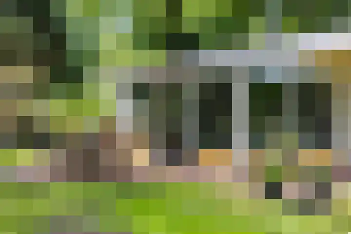 Boterpol 22 Wateren thumbnail 45