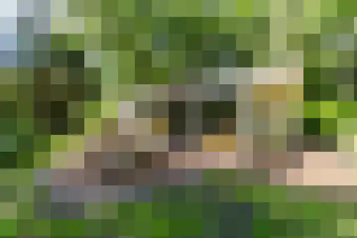 Boterpol 22 Wateren thumbnail 46