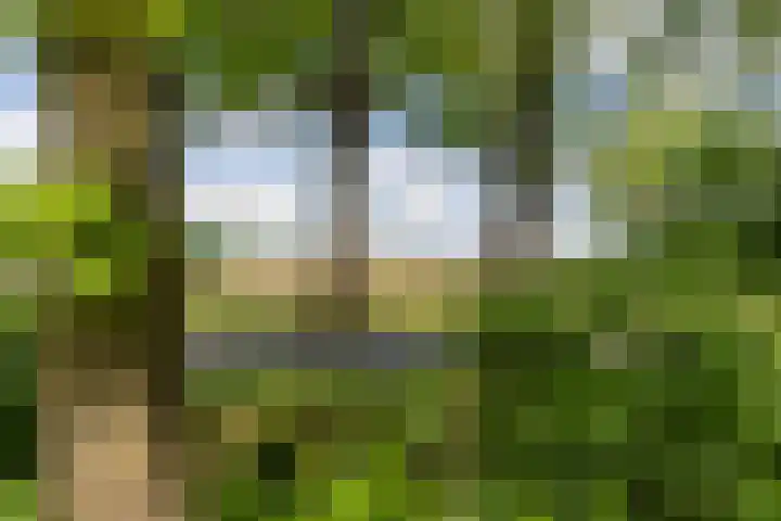 Boterpol 22 Wateren thumbnail 47