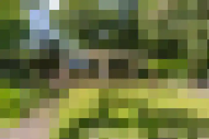 Boterpol 22 Wateren thumbnail 48