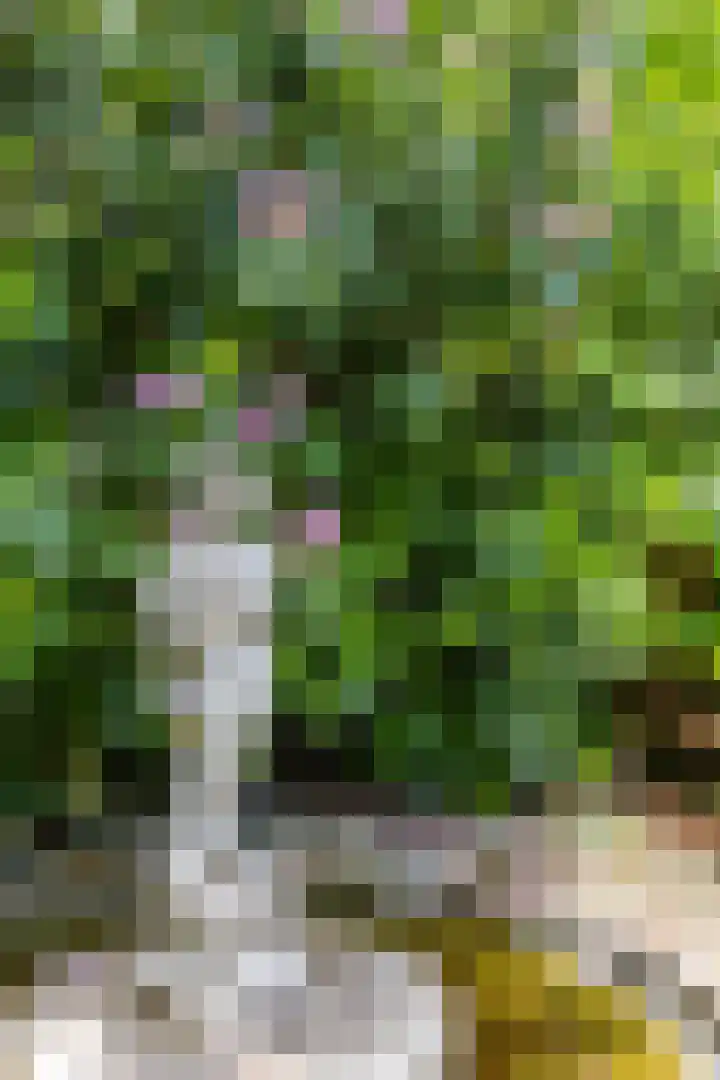 Boterpol 22 Wateren thumbnail 49