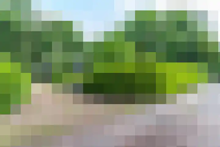 Boterpol 22 Wateren thumbnail 5