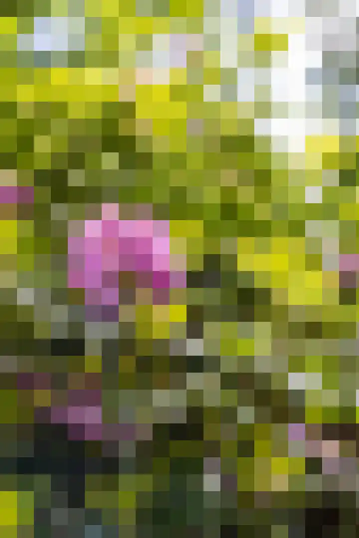 Boterpol 22 Wateren thumbnail 50