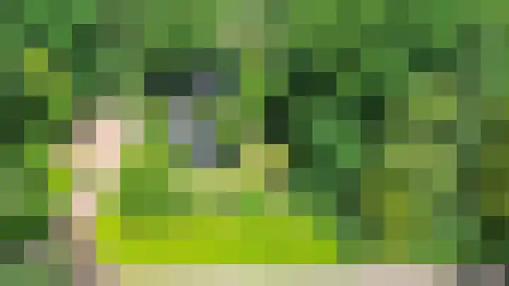 Boterpol 22 Wateren thumbnail 54