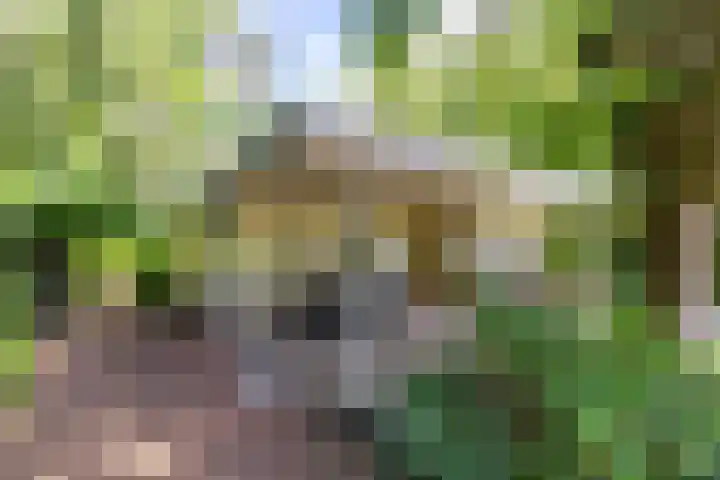 Boterpol 22 Wateren thumbnail 58