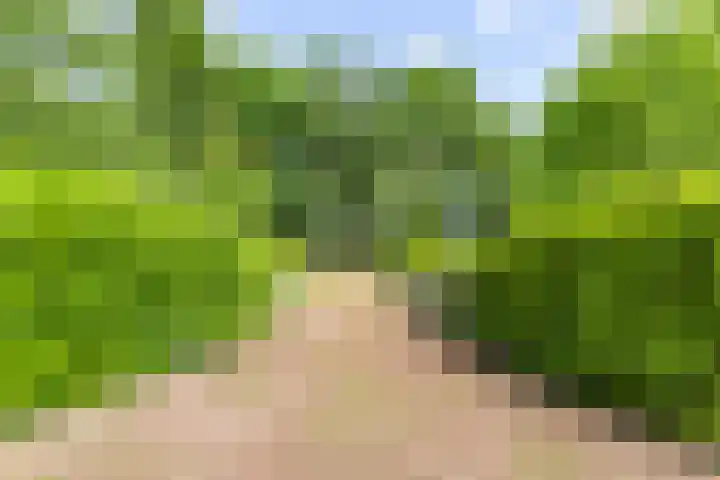 Boterpol 22 Wateren thumbnail 6