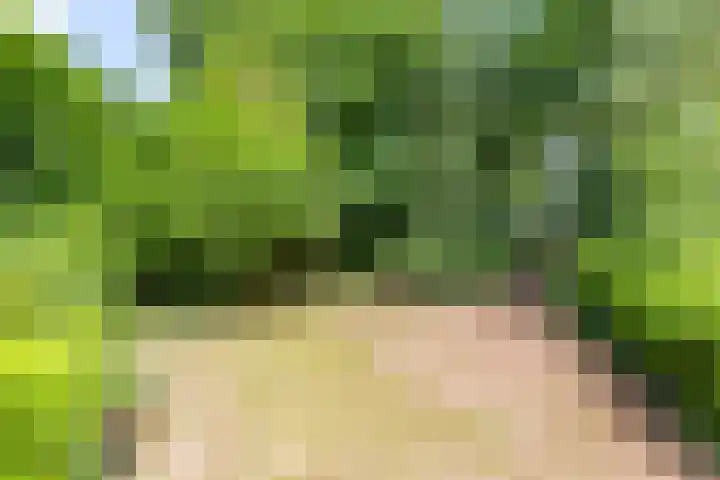 Boterpol 22 Wateren thumbnail 7