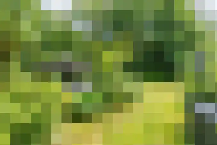 Boterpol 22 Wateren thumbnail 8